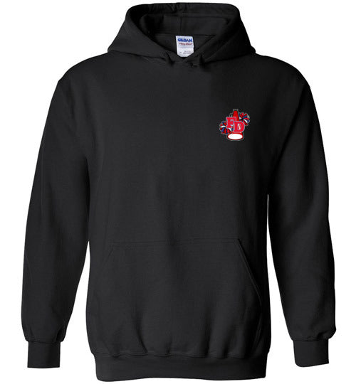 YOUTH PATRIOTS CHEER TWO SIDED HOODIE