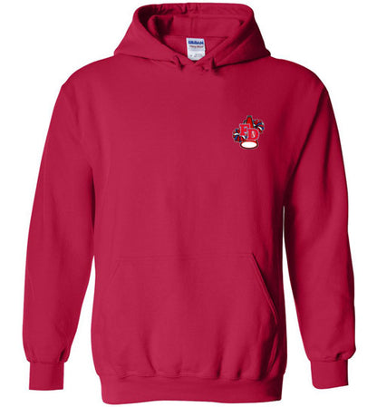 YOUTH PATRIOTS CHEER TWO SIDED HOODIE