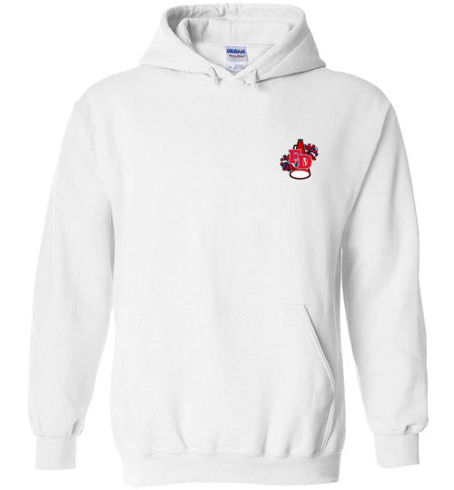 YOUTH PATRIOTS CHEER TWO SIDED HOODIE