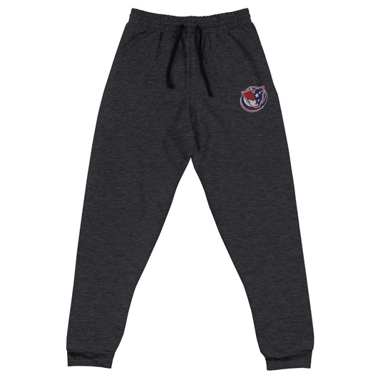 YOUTH PATRIOTS UNISEX JOGGERS